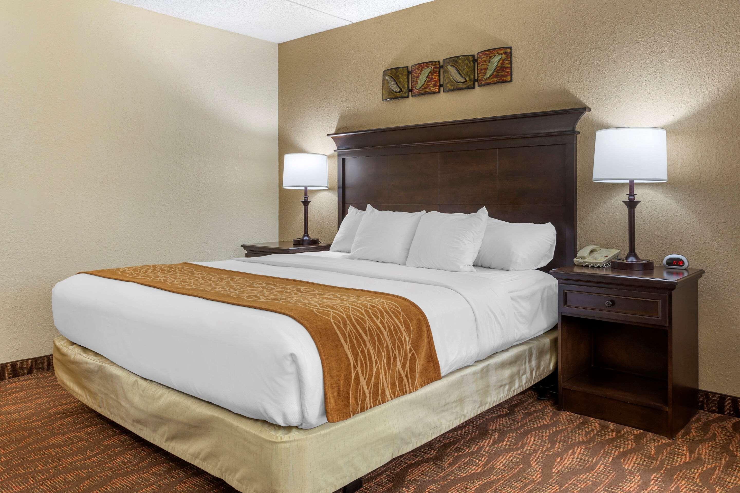 Comfort Inn At Thousand Hills Μπράνσον Εξωτερικό φωτογραφία